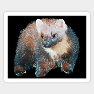 Marten - Woodland Themed Kids Room, Funny Gifts For Forester, Cute Anima Sticker